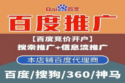 专业SEM代运营托管公司案例分析